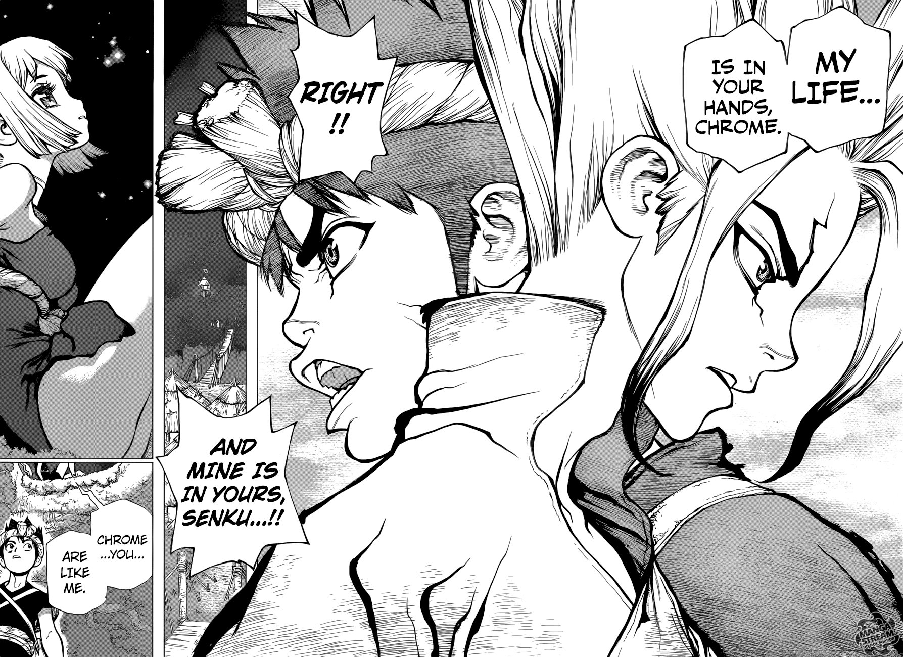 Dr. Stone Chapter 31 15